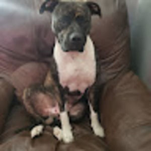 Meet your Posher, Gary